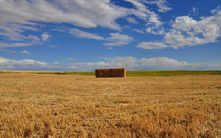 Guide to Careers in Spain's Agricultural Sector